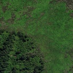 Satellite imagery of Houhou Point, NZ