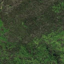 Satellite imagery of Houhou Point, NZ