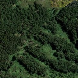 Satellite imagery of Kaiuma Point, NZ