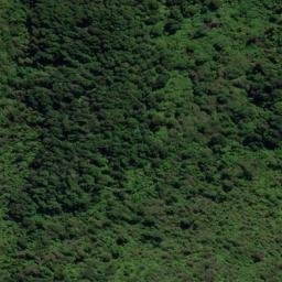 Satellite imagery of Puroa Point, NZ
