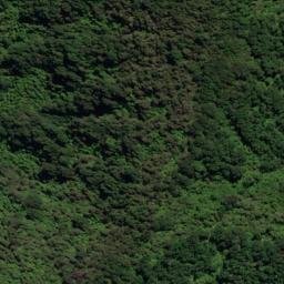 Satellite imagery of Puroa Point, NZ
