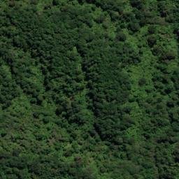 Satellite imagery of Houhou Point, NZ