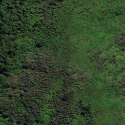 Satellite imagery of Houhou Point, NZ
