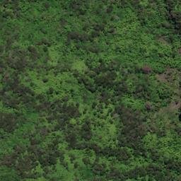 Satellite imagery of Houhou Point, NZ
