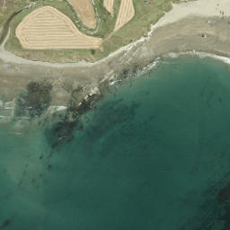 Satellite imagery of Flat Point, NZ