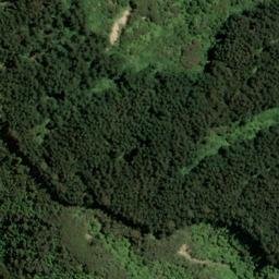 Satellite imagery of Kaiuma Point, NZ
