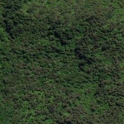 Satellite imagery of Puroa Point, NZ