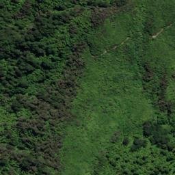 Satellite imagery of 2218, NZ