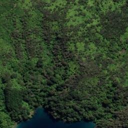 Satellite imagery of Houhou Point, NZ