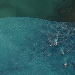 Satellite imagery of Flat Point, NZ