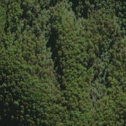 Satellite imagery of The Sideling, AU
