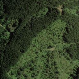 Satellite imagery of Boars Back Spur, NZ