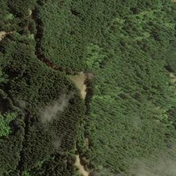 Satellite imagery of Boars Back Spur, NZ