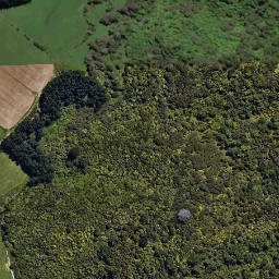 Satellite imagery of Iwituaroa Point, NZ