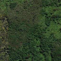 Satellite imagery of Iwituaroa Point, NZ