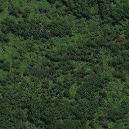 Satellite imagery of L (Linkwater SD), NZ