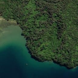 Satellite imagery of Takaputira Point, NZ
