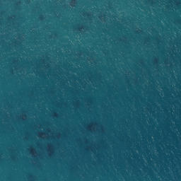Satellite imagery of Flat Point, NZ