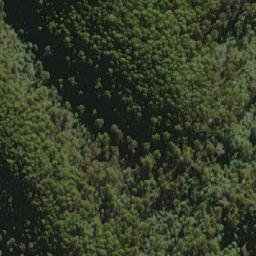 Satellite imagery of The Sideling, AU