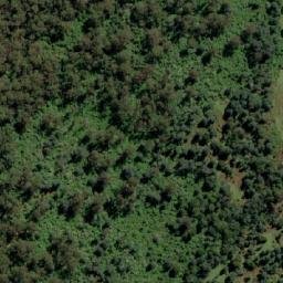 Satellite imagery of Pyengana Saddle, AU