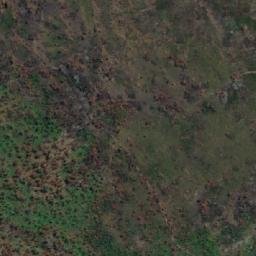 Satellite imagery of Grants Point, AU