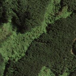 Satellite imagery of Boars Back Spur, NZ