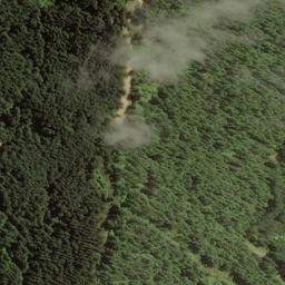 Satellite imagery of Boars Back Spur, NZ