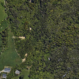 Satellite imagery of Iwituaroa Point, NZ