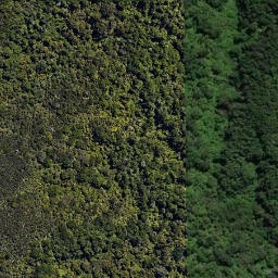 Satellite imagery of Iwituaroa Point, NZ