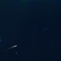 Satellite imagery of Takaputira Point, NZ