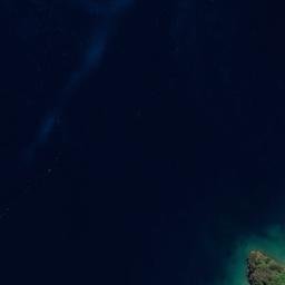 Satellite imagery of Iwirua Point, NZ