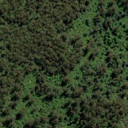 Satellite imagery of Pyengana Saddle, AU
