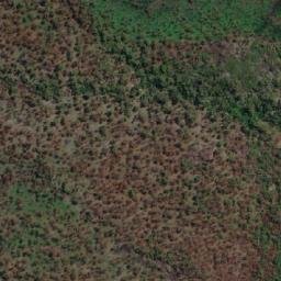 Satellite imagery of Grants Point, AU