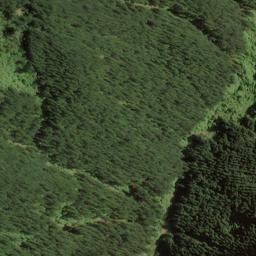 Satellite imagery of Boars Back Spur, NZ