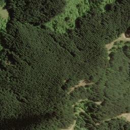 Satellite imagery of Boars Back Spur, NZ
