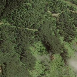 Satellite imagery of Boars Back Spur, NZ