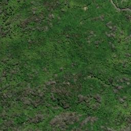 Satellite imagery of Elephant Point, NZ