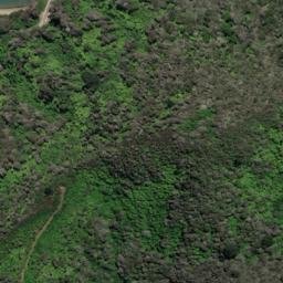 Satellite imagery of Elephant Point, NZ