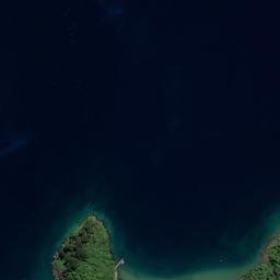 Satellite imagery of Iwirua Point, NZ