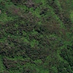Satellite imagery of Kaipupu Point, NZ