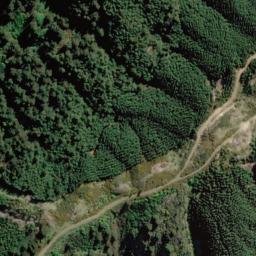 Satellite imagery of Bushy Point, NZ