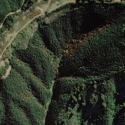 Satellite imagery of Bushy Point, NZ