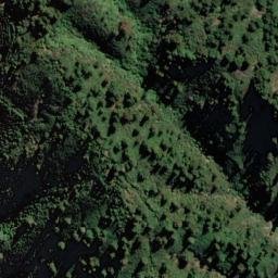 Satellite imagery of Bushy Point, NZ