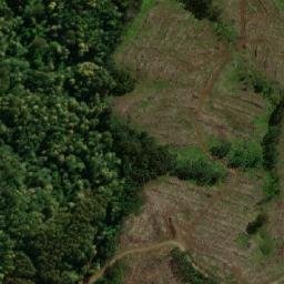 Satellite imagery of Sea View Hill, AU