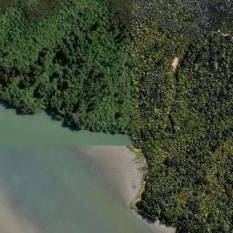 Satellite imagery of 2121, NZ
