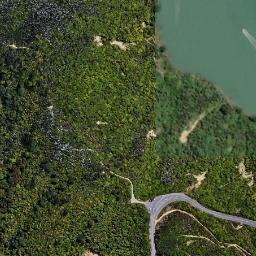 Satellite imagery of 2121, NZ