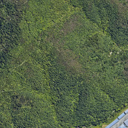 Satellite imagery of 2212, NZ