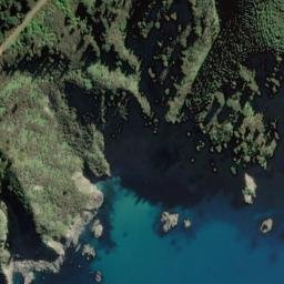 Satellite imagery of Bushy Point, NZ