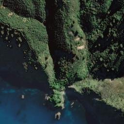 Satellite imagery of Bushy Point, NZ