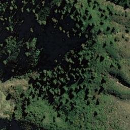 Satellite imagery of Bushy Point, NZ